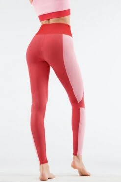High-Waisted Seamless Rib Legging