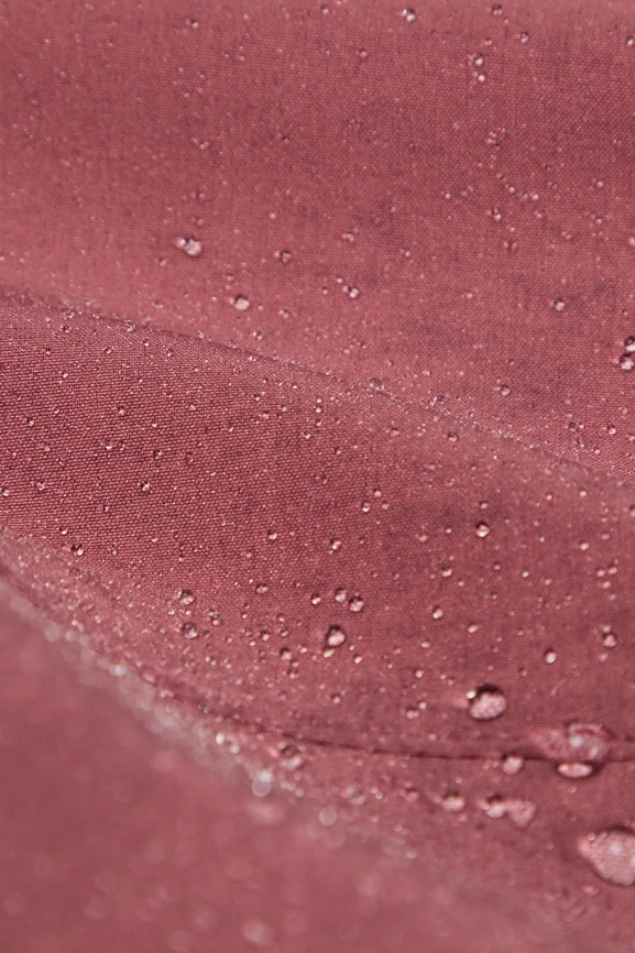 The Only Pant (Slim Fit) - Image 7