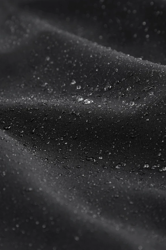 The Only Pant (Classic Fit) - Image 6