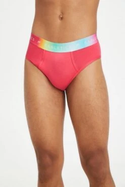 24/7 Pride High-Waisted Briefs